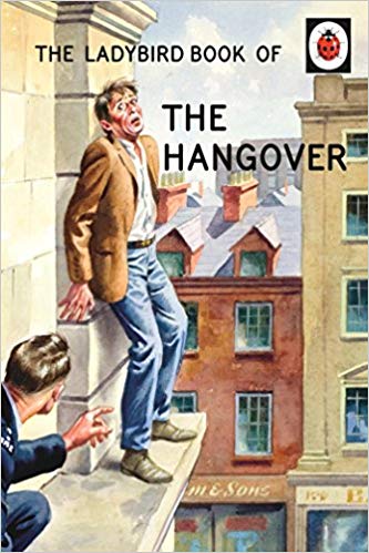 Ladybird Hangover Book for grown ups