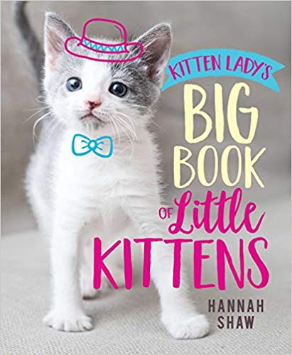 Book of Little Kittens