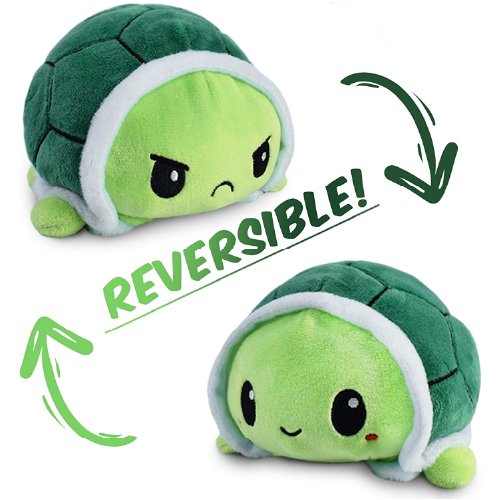 reversible turtle