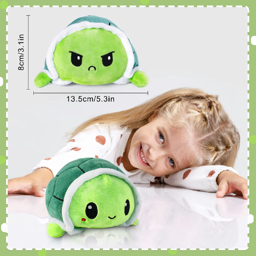 reversible turtle