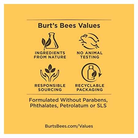 Burts Bees Body Kit