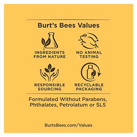 Burts Bees Body Kit