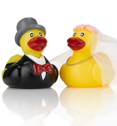 Wedding Ducks